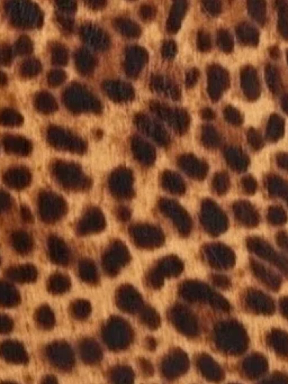 Rebecca Minkoff Crossbody Purse Leopard Print